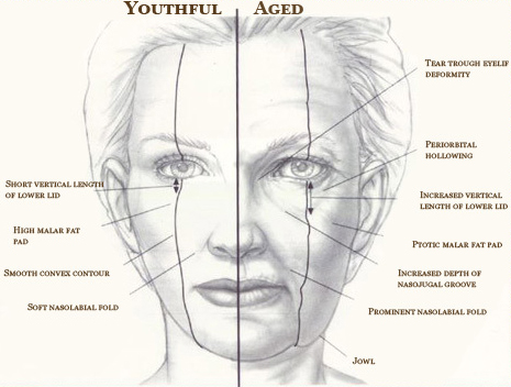 Sculpting Your Neck: The Art Of Neck Contouring